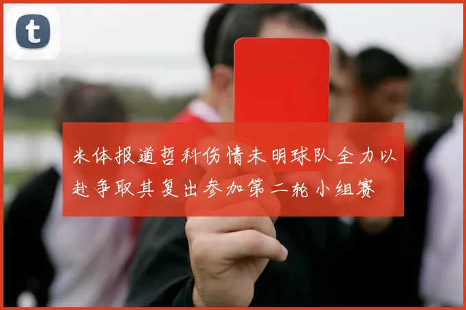 米体报道哲科伤情未明球队全力以赴争取其复出参加第二轮小组赛